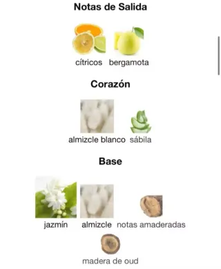 ASDAAF Ameerat Al Arab Eau de Parfum 100ml