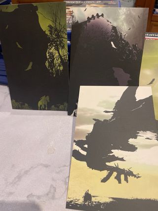 Shadow of the Colossus PS2 Español