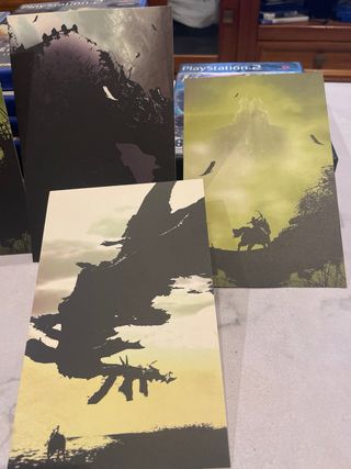 Shadow of the Colossus PS2 Español