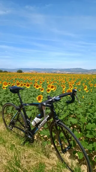 Bicicleta de carretera Orbea Avant