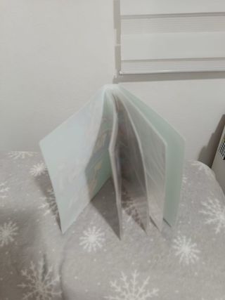 Álbum de cartas Pokémon