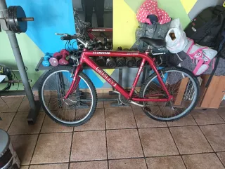 Bicicleta Grisley Aluminio