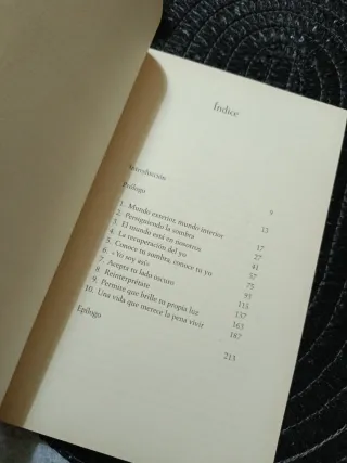 LOS BUSCADORES DE LUZ