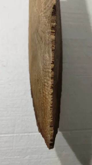 Tronco Pino Manualidades Decoración