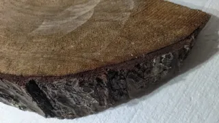 Tronco Pino Manualidades Decoración