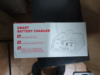 Cargador Inteligente Baterías 12V/24V