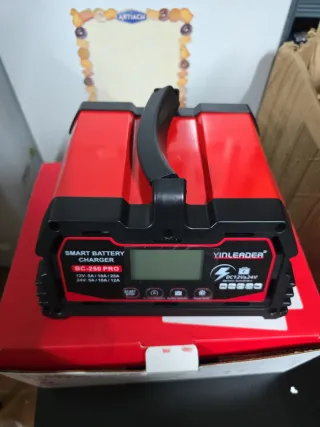 Cargador Inteligente Baterías 12V/24V