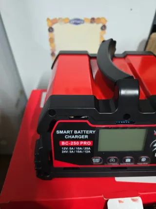 Cargador Inteligente Baterías 12V/24V