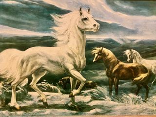 Espectacular Cuadro Ecuestre - Vintage 1960's