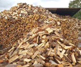 Oferta de leña