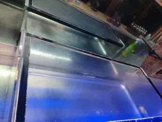 Vitrina expositora para pinchos y comida