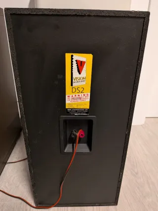 Pareja Altavoces Bowers & Wilkins DS2