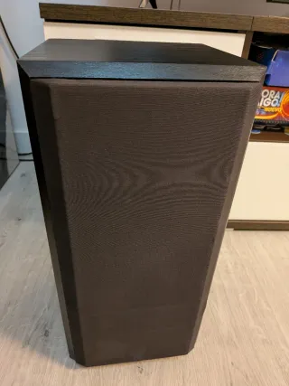 Pareja Altavoces Bowers & Wilkins DS2