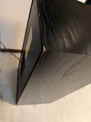 Pareja Altavoces Bowers & Wilkins DS2