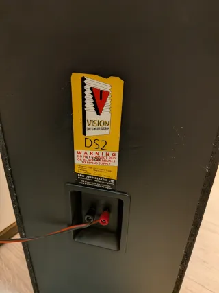 Pareja Altavoces Bowers & Wilkins DS2