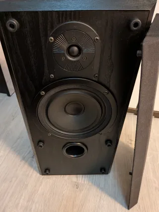 Pareja Altavoces Bowers & Wilkins DS2