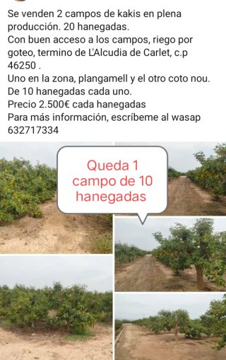 Se venden varias casas y campos. En diferentes pue