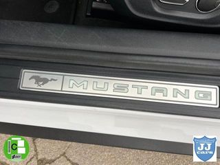 FORD Mustang Convertible 2.3 EcoBoost 233 kW (317 CV) Aut.