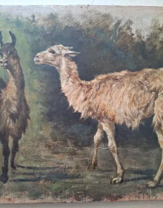 Antico quadro olio su tela Giovanni Lomi