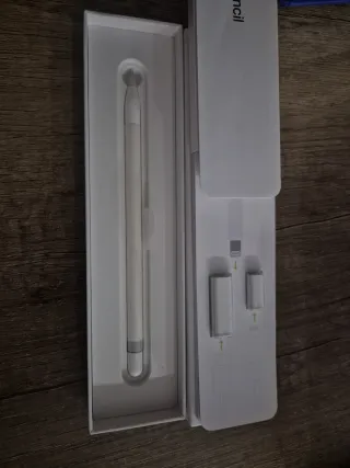 Apple Pencil (10ª gen.)
