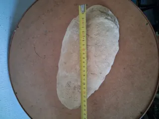 Fossile di pesce su pietra