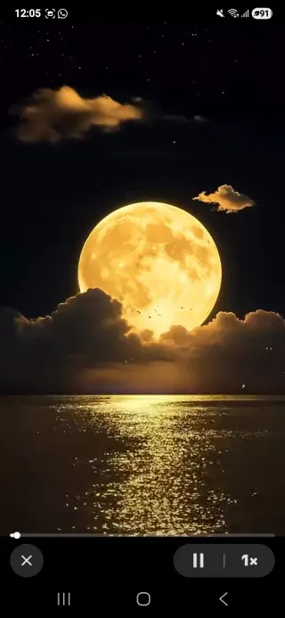 Se alquila habitación a persona SOLA y LIMPIA.