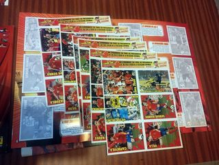 Selección Española Campeona Mundo Fútbol