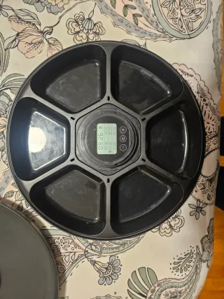 Comedero automático 6 horas