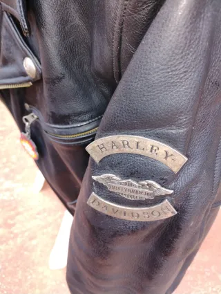 Cazadora Piel Harley-Davidson con insignias