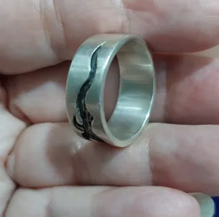 Anillo de Plata de Ley 925