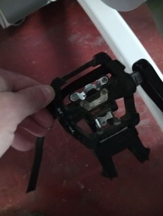 Bicicleta Estática Schwinn Carbon Blue