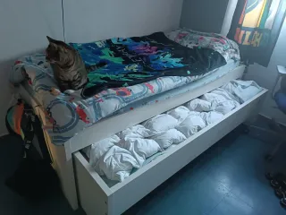 Cama nido con cama supletoria