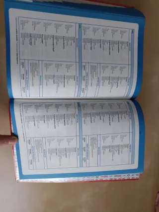 Diccionario Intermedio Primaria. Lengua español...