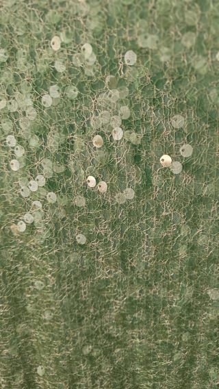 Falda Zara lentejuelas verde M