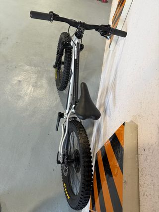 Bicicleta Montaña Early Rider