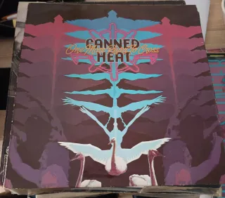 Vinilo Iggy Pop Brick By Brick