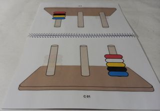Test ENFEN Evaluación Funciones Ejecutivas Niños