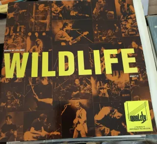 Vinilo Spencer Bohren Live in New Orleans