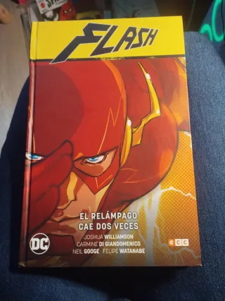 Flash vol. 01: El relámpago cae dos veces