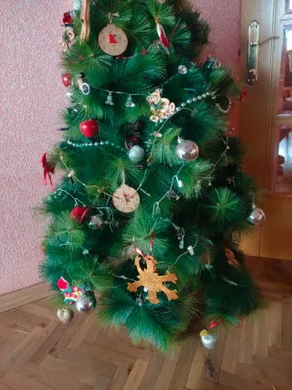 Busco profesor primaria