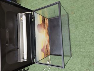 Terrario Negro y Multicolor