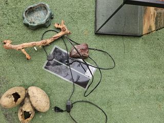 Terrario Negro y Multicolor