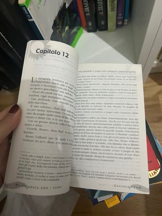 Un'amica con i pugni