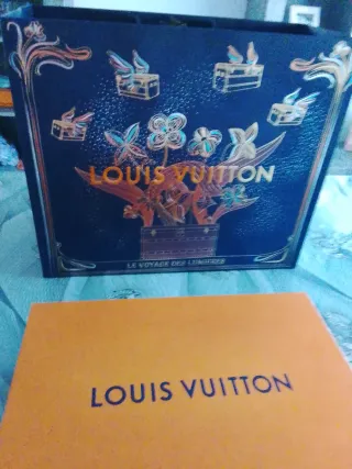 Caja y bolsa Louis Vuitton