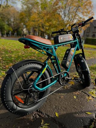 Bicicleta Eléctrica ebiKe ENGWE M20 Estilo Retro