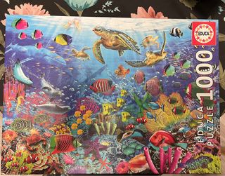 Puzzle Educa 1000 Piezas Mundo Marino