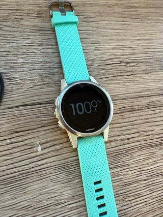 Garmin Fenix 5s blanco Plata