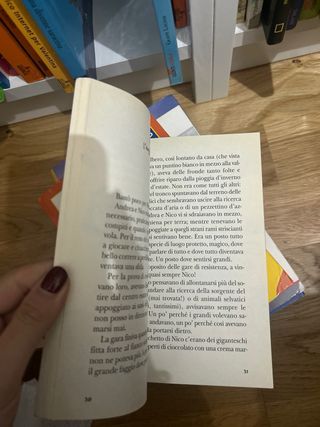 L'estate di Nico - Luigi Ballerini