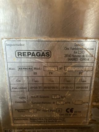 Horno profesional Repagas