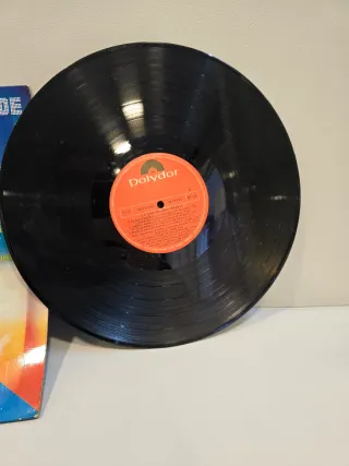 Disco Vinilo Nino Bravo La Voz De